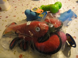 image.jpg