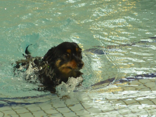 image-20120722165627.png